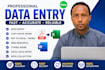 do professional data entry accurately and fast