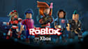 be your roblox developer, develop your full roblox game