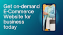 create a responsive ecommerce web development with wordpress