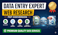 do expert excel data entry, data typing, and formating