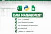 clean messy CSV, excel, and dataset files professionally