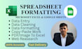 do accurate exel data entry and spreadsheet formatting