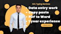 do professional data entry, copy paste, excel work