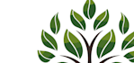 design modern tree logo
