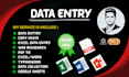 provide accurate data entry and web research expert