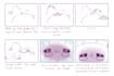 create a 2d stinger animation