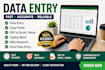 data entry and copy paste