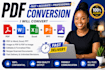 be your virtual assistant for data entry and file conversion