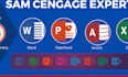 do your sam cengage, capstone, simnet projects in ms excel