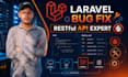 laravel bug fix and laravel rest API  dashboard development