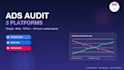 audit your google ads, meta ads and tiktok ads, UK based