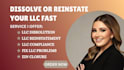 dissolve llc, reinstate llc, fix compliance issues and ein closure