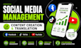 manage your social media and create content