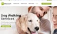 create squarespace dog walking website pet service website booking website