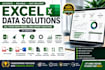 provide professional microsoft excel service
