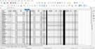 build a custom excel payroll or financial tracking spreadsheet
