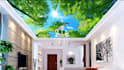 create realistic 3d pop ceiling and gypsum false ceiling design