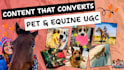 create high converting pet and equine product ugc content