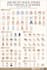 create xiaohongshu style ai visual designs