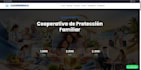 build a professional website for your business