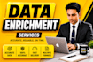 do data enrichment, CRM data entry and web research