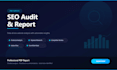 create a detailed SEO audit report for your website