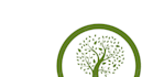 do modern tree logo design for your business