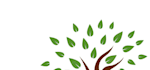 design a professional modern tree, leaf logo