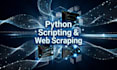 write custom python automation scripts and bots