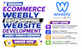 design ecommerce weebly dropshipping website development weebly website redesign