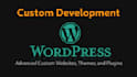 develop a custom wordpress website theme or plugin