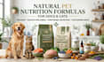 create natural pet nutrition formulas for dogs and cats