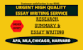 do essay writing as an essay writer