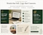write ai assisted sales copy for your business