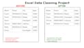 clean, format and organize excel data professionally