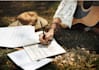 poetically translate song lyrics in multiple languages
