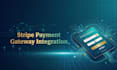 do payment gateway stripe api integration to react js next js or custom website