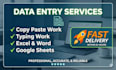 do professional data entry and copy paste