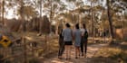 create realistic 3d ai zoo, safari and theme park perspective concept renders