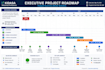 create an executive project roadmap and master schedule