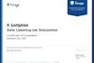 do data labeling and presentations