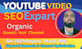 do the youtube channel setup and video SEO optimization
