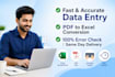 fast data entry, copy paste and PDF to excel conversion