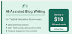 article writing content writing blog writing