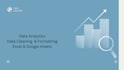 do professional data cleaning and data visualization