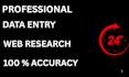 do fast and accurate data entry and excel data entry work