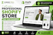 create a professional shopify store for your business