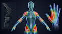 do second life bento rigging fitted mesh, bento bones, animesh, weight painting