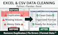 clean, format and organize excel or CSV data professionally