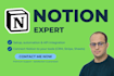 be your notion expert for setup, automation and api integration